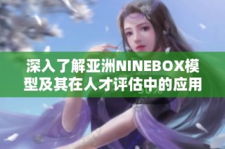 深入了解亚洲NINEBOX模型及其在人才评估中的应用