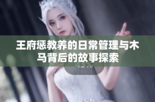 王府惩教养的日常管理与木马背后的故事探索