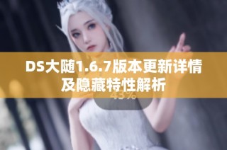 DS大随1.6.7版本更新详情及隐藏特性解析