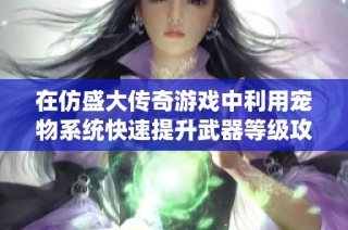 在仿盛大传奇游戏中利用宠物系统快速提升武器等级攻略
