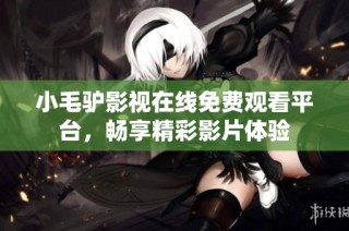 小毛驴影视在线免费观看平台，畅享精彩影片体验