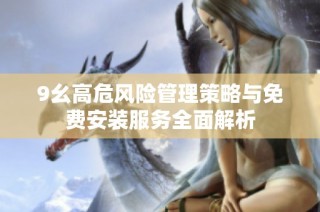 9幺高危风险管理策略与免费安装服务全面解析