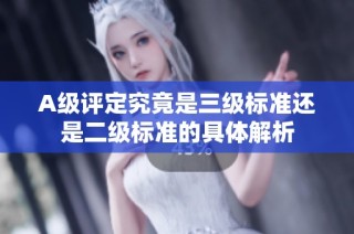 A级评定究竟是三级标准还是二级标准的具体解析
