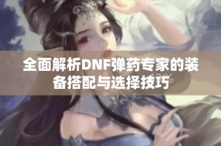 全面解析DNF弹药专家的装备搭配与选择技巧