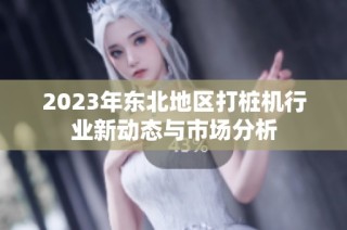 2023年东北地区打桩机行业新动态与市场分析