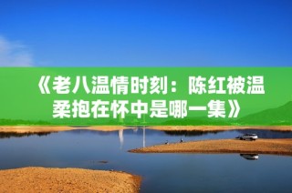 《老八温情时刻：陈红被温柔抱在怀中是哪一集》