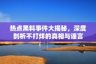 热点黑料事件大揭秘，深度剖析不打烊的真相与谣言