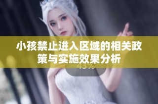 小孩禁止进入区域的相关政策与实施效果分析