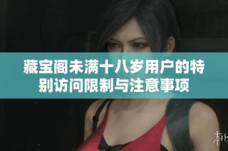 藏宝阁未满十八岁用户的特别访问限制与注意事项