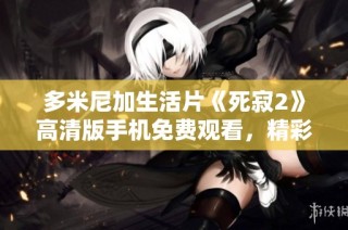 多米尼加生活片《死寂2》高清版手机免费观看，精彩不容错过
