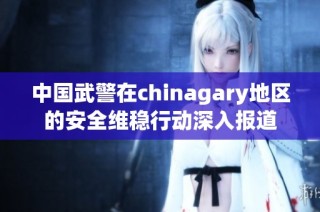 中国武警在chinagary地区的安全维稳行动深入报道