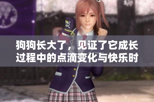 狗狗长大了，见证了它成长过程中的点滴变化与快乐时光