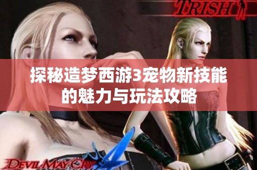 探秘造梦西游3宠物新技能的魅力与玩法攻略