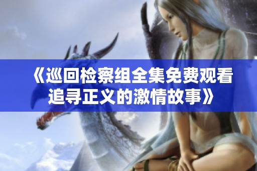 《巡回检察组全集免费观看 追寻正义的激情故事》