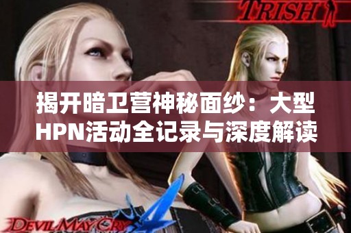 揭开暗卫营神秘面纱：大型HPN活动全记录与深度解读
