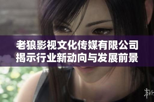 老狼影视文化传媒有限公司揭示行业新动向与发展前景分析