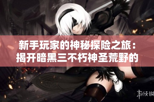 新手玩家的神秘探险之旅：揭开暗黑三不朽神圣荒野的面纱