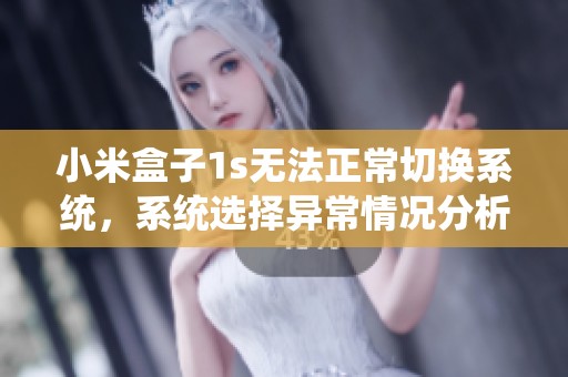 小米盒子1s无法正常切换系统，系统选择异常情况分析与解决