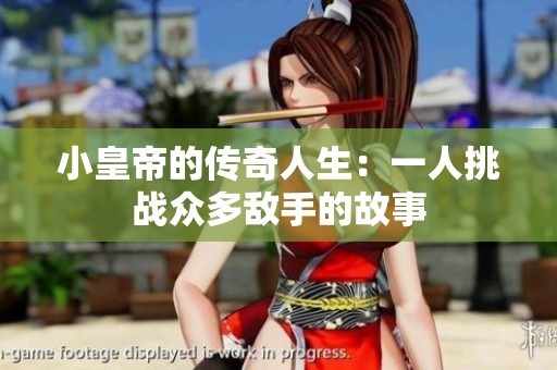 小皇帝的传奇人生：一人挑战众多敌手的故事