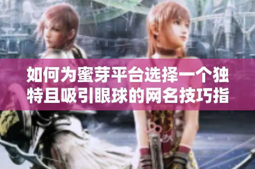 如何为蜜芽平台选择一个独特且吸引眼球的网名技巧指南