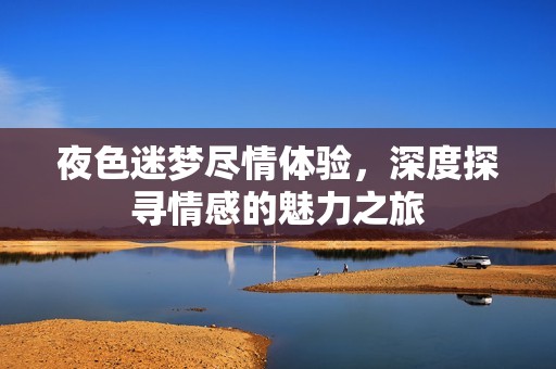 夜色迷梦尽情体验，深度探寻情感的魅力之旅