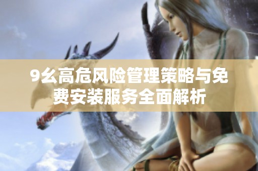 9幺高危风险管理策略与免费安装服务全面解析